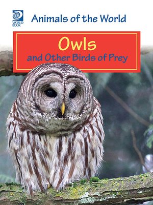 cover image of Owls and Other Birds of Prey